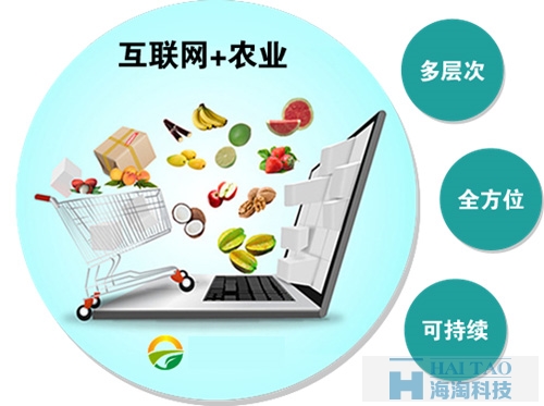農(nóng)業(yè)電商網(wǎng)站建設