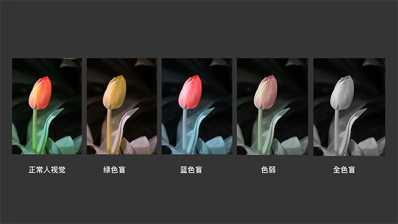 色彩設(shè)計(jì)的方案-app夜間模式設(shè)計(jì)