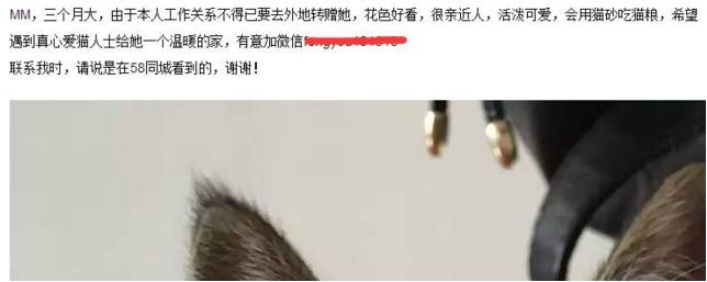 信息流爆炸時(shí)代，流量分散，玩轉(zhuǎn)吸粉，這些套路你得會(huì) 經(jīng)驗(yàn)心得 第1張