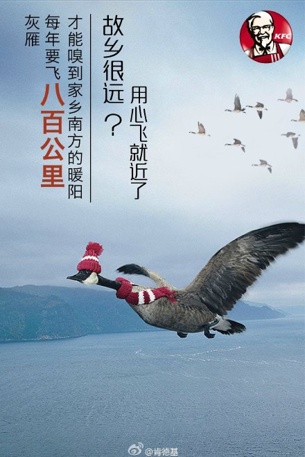 分析了2000張創(chuàng)意海報(bào)，找出讓你快速掌握做海報(bào)的套路